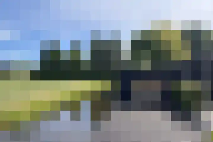 Koraal 40 Mijdrecht thumbnail 48