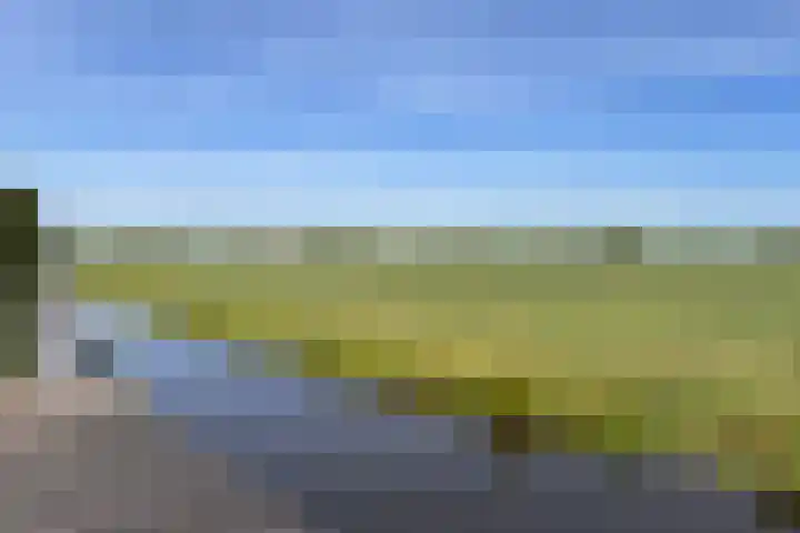 Koraal 40 Mijdrecht thumbnail 49