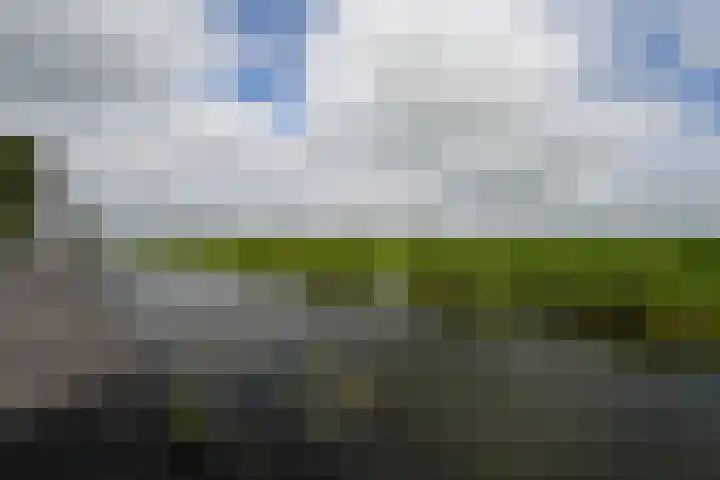 Koraal 40 Mijdrecht thumbnail 50