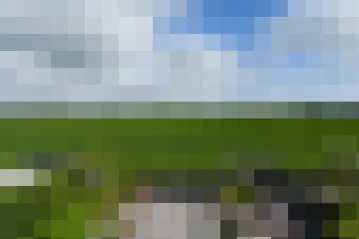 Koraal 40 Mijdrecht thumbnail 51