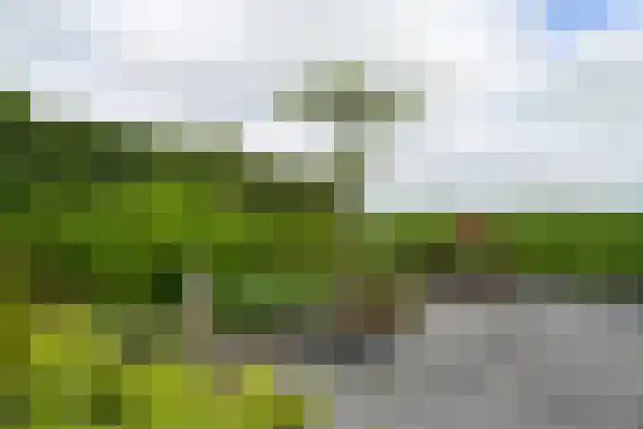 Koraal 40 Mijdrecht thumbnail 52