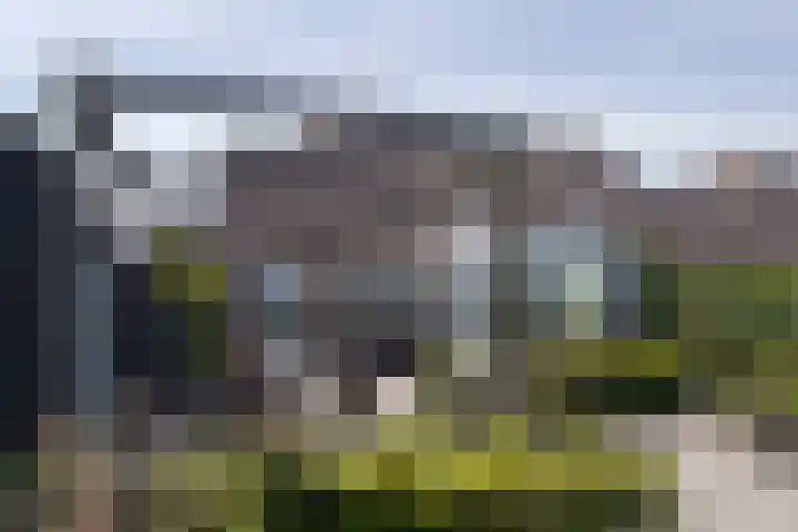 Koraal 40 Mijdrecht thumbnail 53