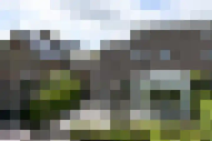 Koraal 40 Mijdrecht thumbnail 55