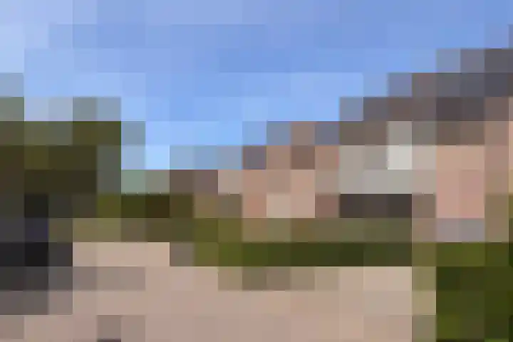 Koraal 40 Mijdrecht thumbnail 61
