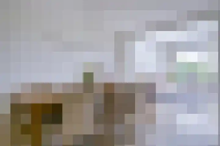 Koraal 40 Mijdrecht thumbnail 9