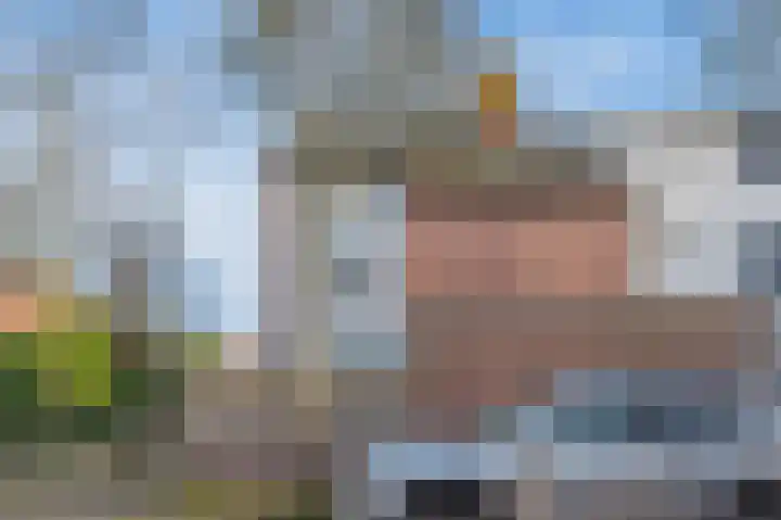 Koraal 41 Katwijk thumbnail 5