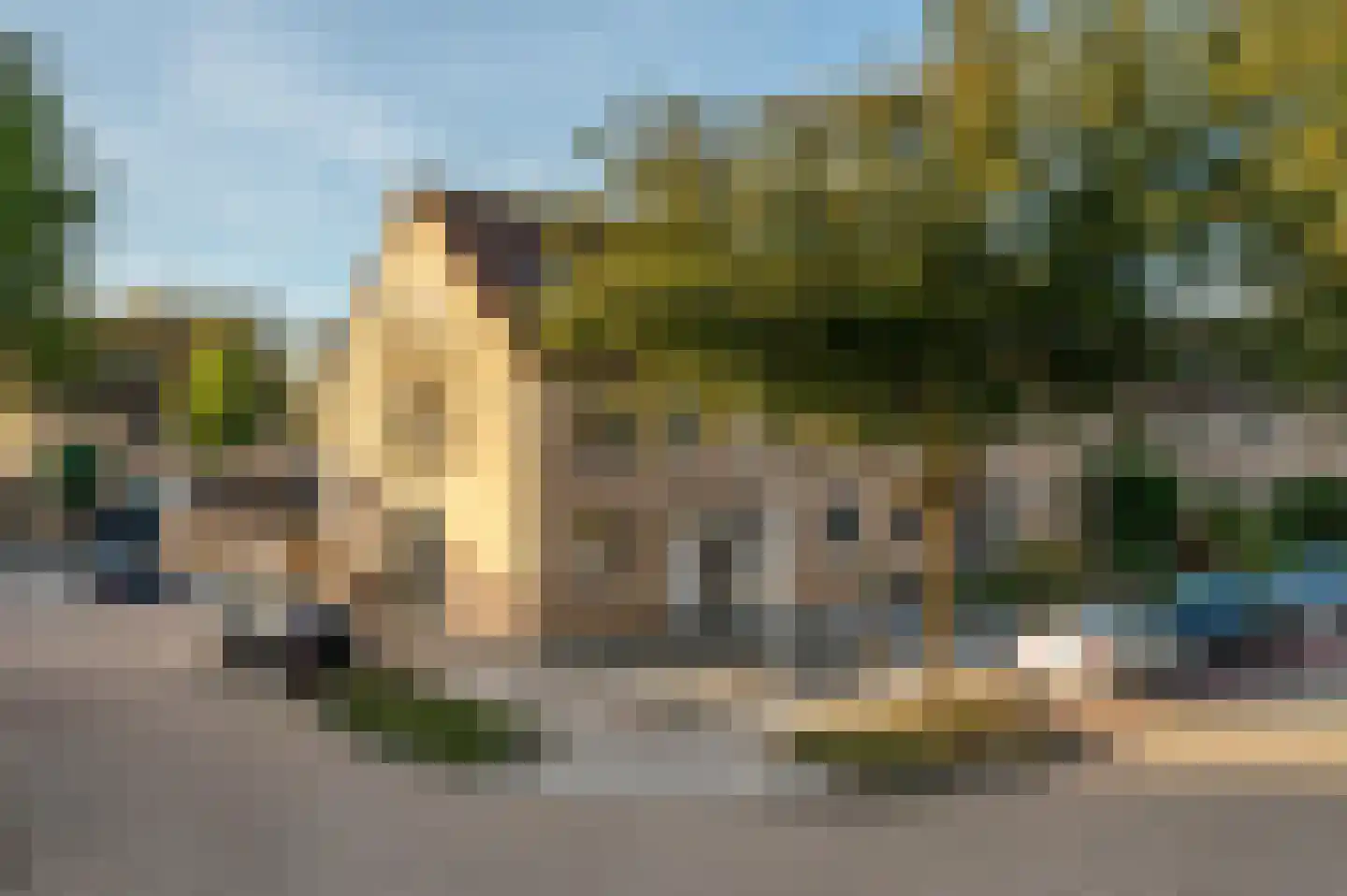 Koraal 63 Zeewolde