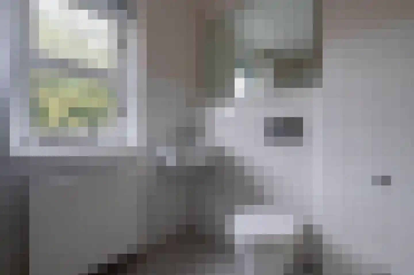 Koraal 63 Zeewolde thumbnail 23