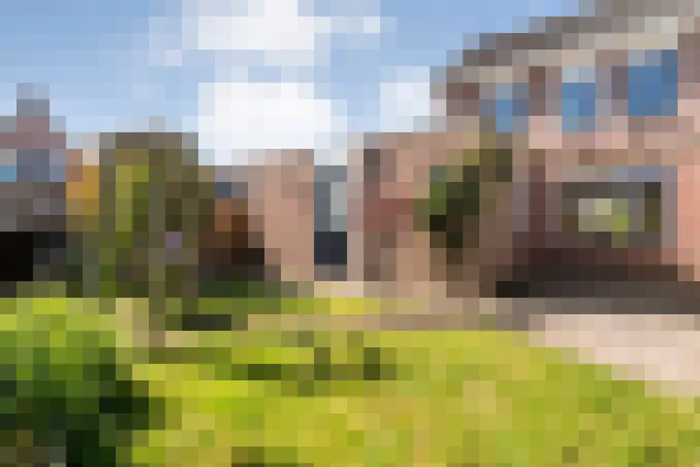 Koraal 80 IJsselmuiden foto 3