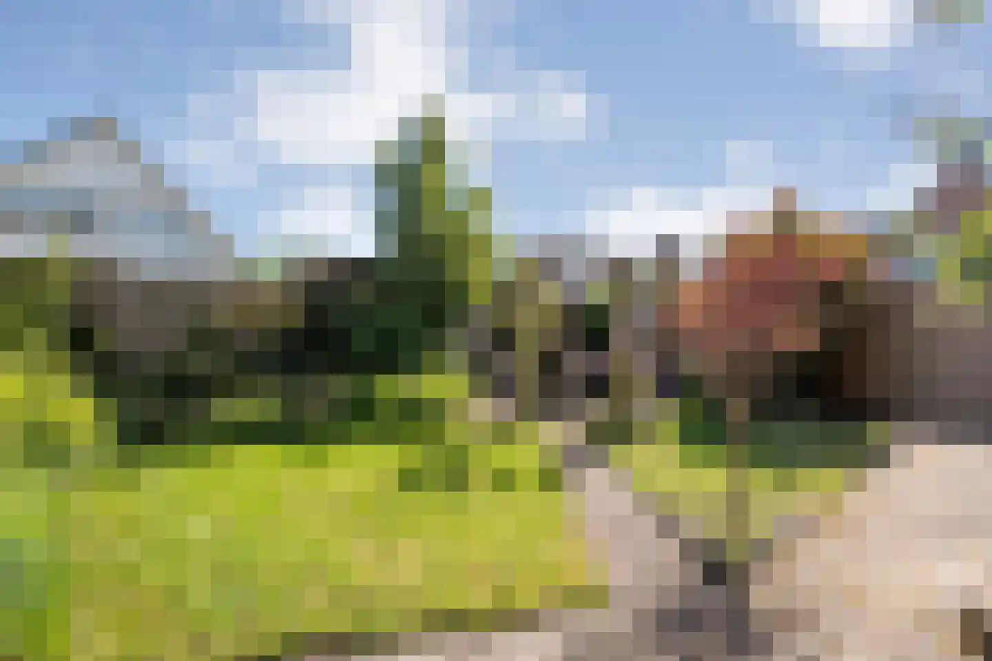 Koraal 80 IJsselmuiden thumbnail 31