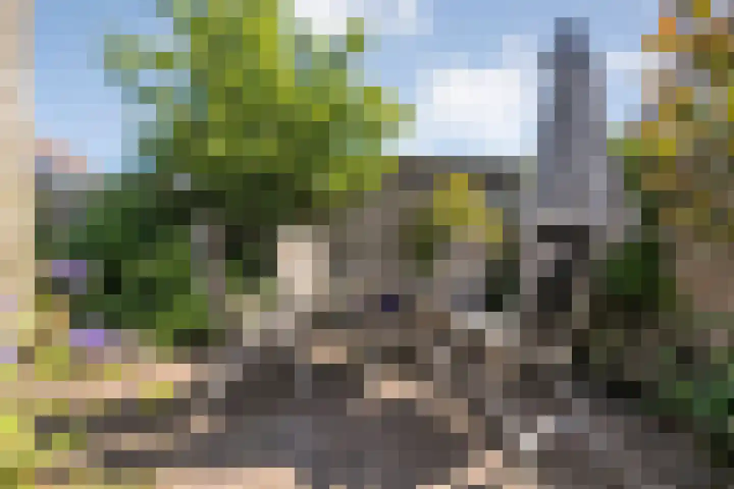 Koraal 80 IJsselmuiden thumbnail 32