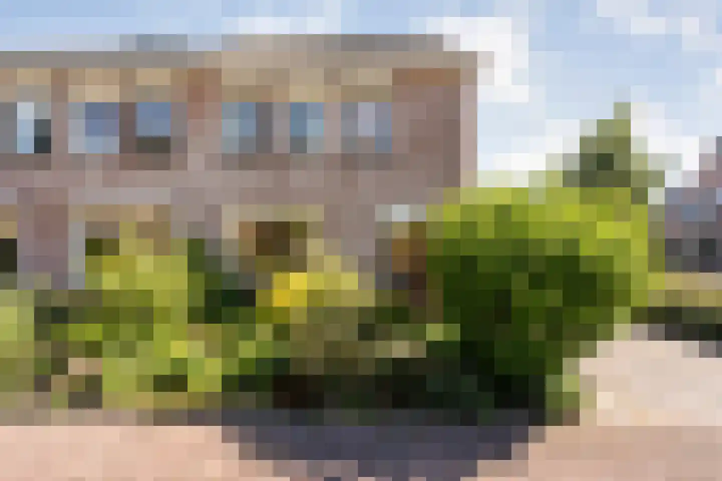 Koraal 80 IJsselmuiden thumbnail 35