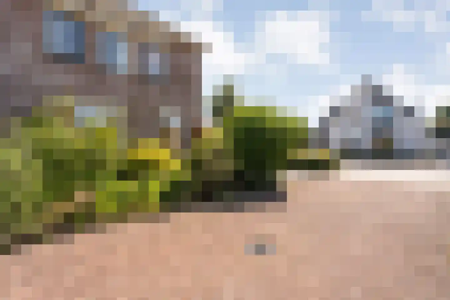 Koraal 80 IJsselmuiden thumbnail 36