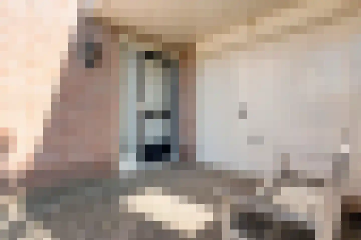 Koraal 80 IJsselmuiden thumbnail 38