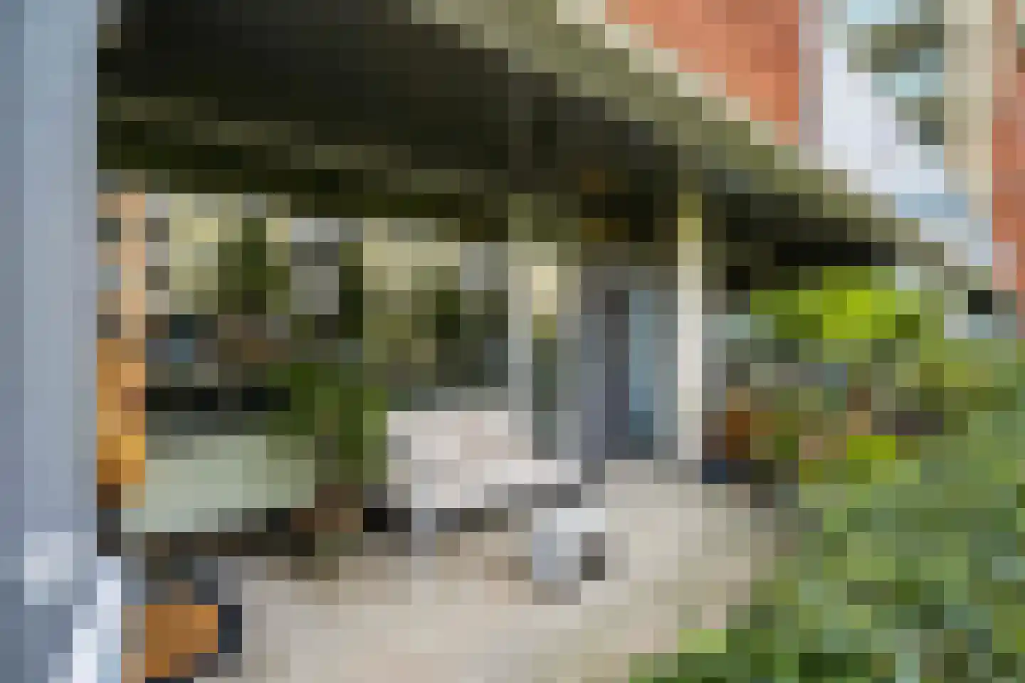 Koraal 91 Heerhugowaard thumbnail 4