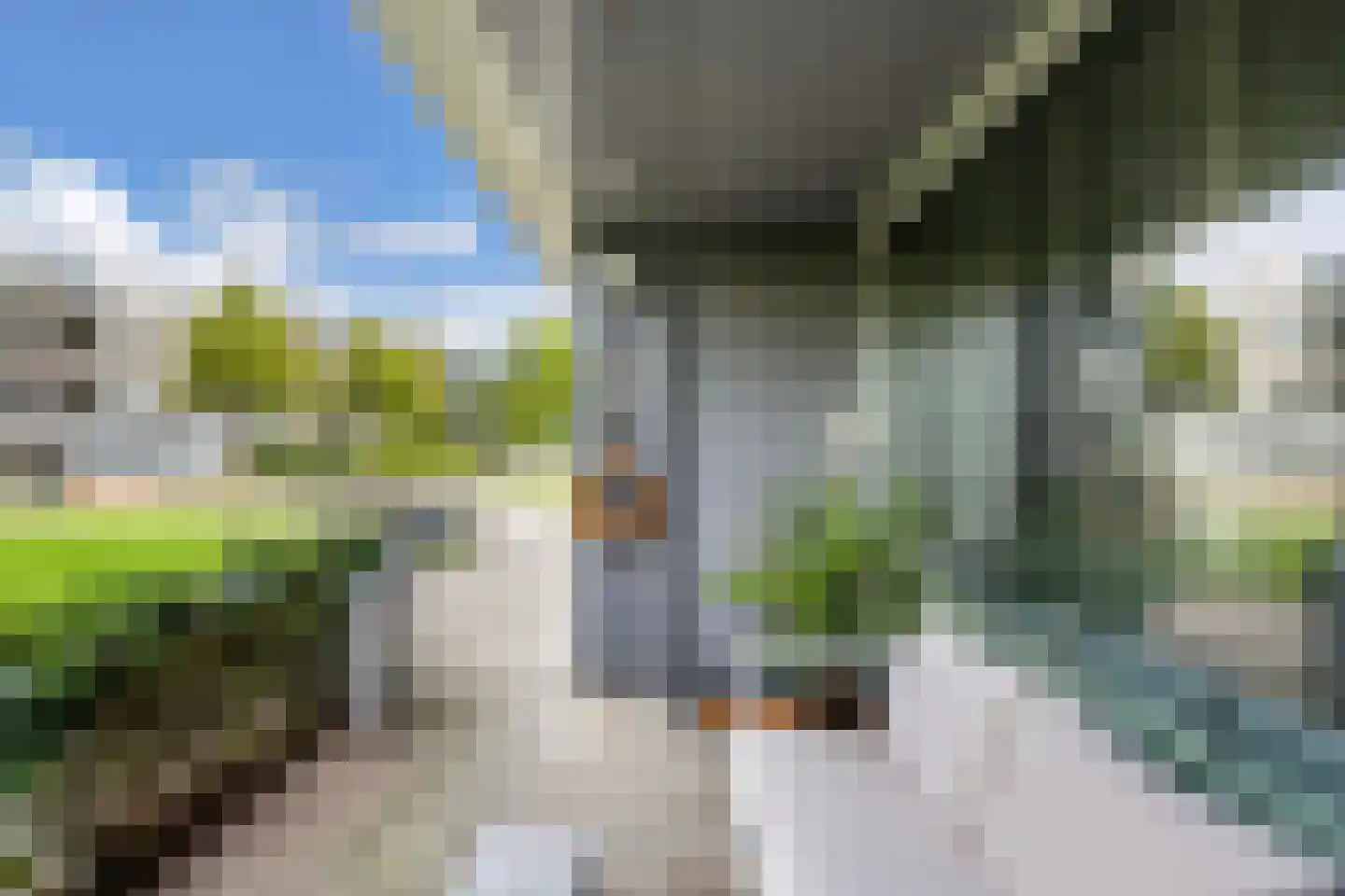 Koraal 91 Heerhugowaard thumbnail 5