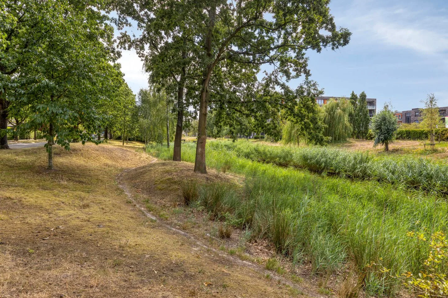 Koraaldijk 119 Roosendaal thumbnail 29
