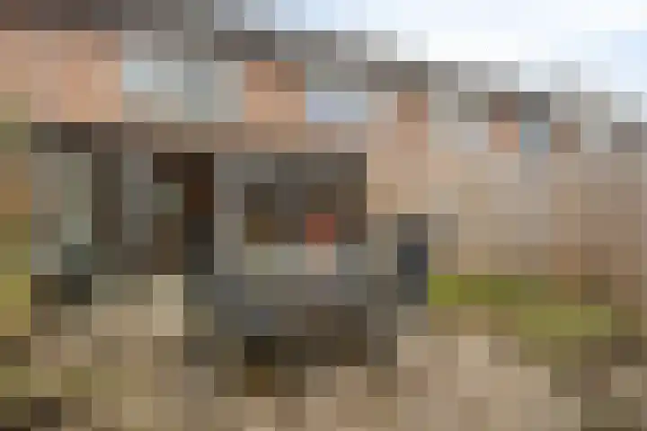 Koraaldijk 22 Roosendaal thumbnail 10