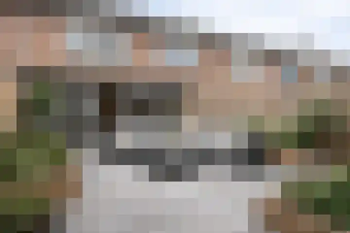 Koraaldijk 22 Roosendaal thumbnail 11