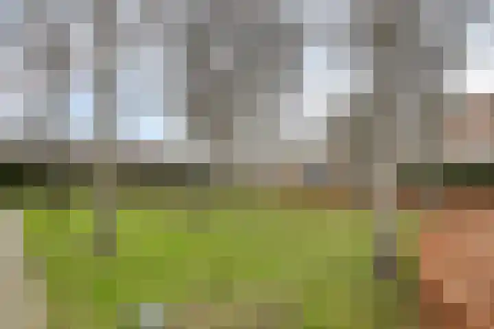 Koraaldijk 22 Roosendaal thumbnail 37
