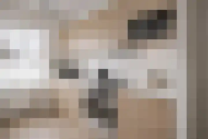 Koraaldijk 22 Roosendaal thumbnail 5