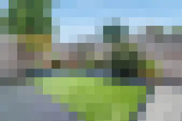 Koraaldijk 85 Roosendaal thumbnail 18