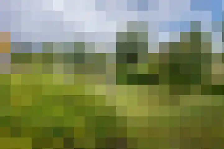 Koraaldreef 18 Emmen thumbnail 33