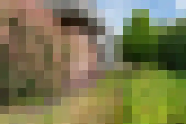 Koraaldreef 18 Emmen thumbnail 34