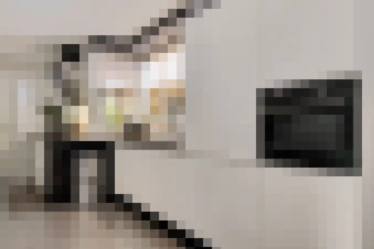Koraaldreef 44 Emmen thumbnail 10