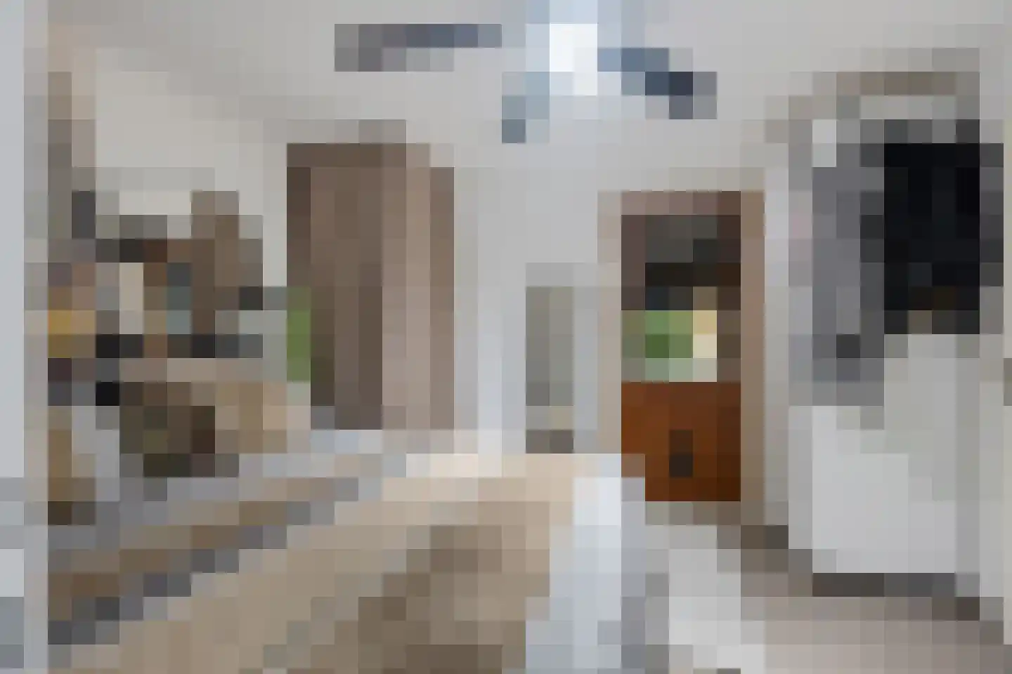 Koraaldreef 44 Emmen thumbnail 14