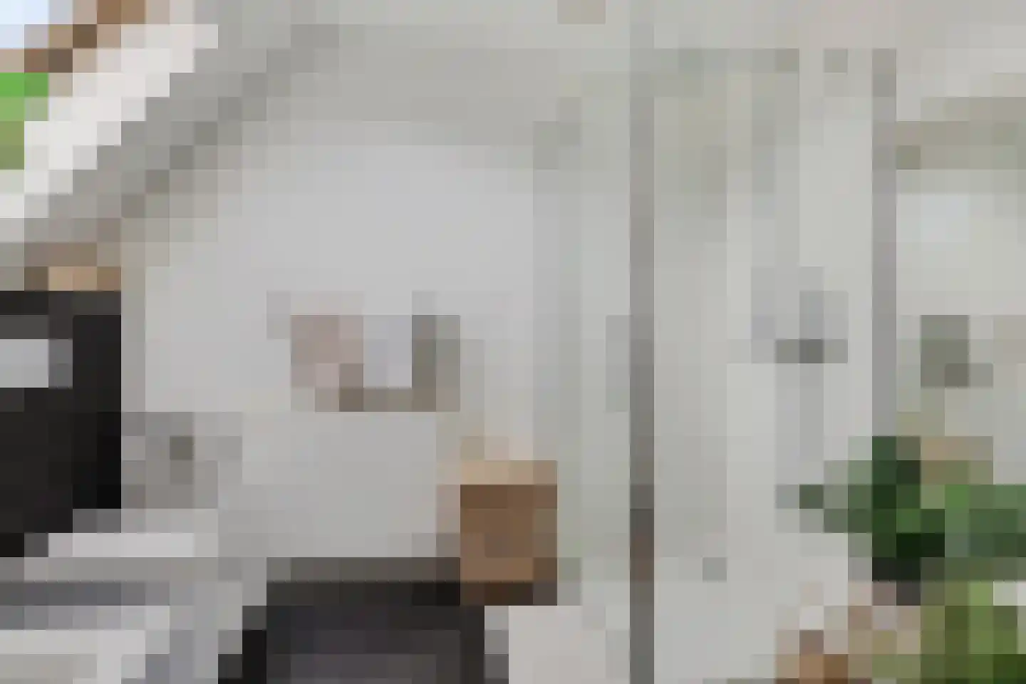 Koraaldreef 44 Emmen thumbnail 17