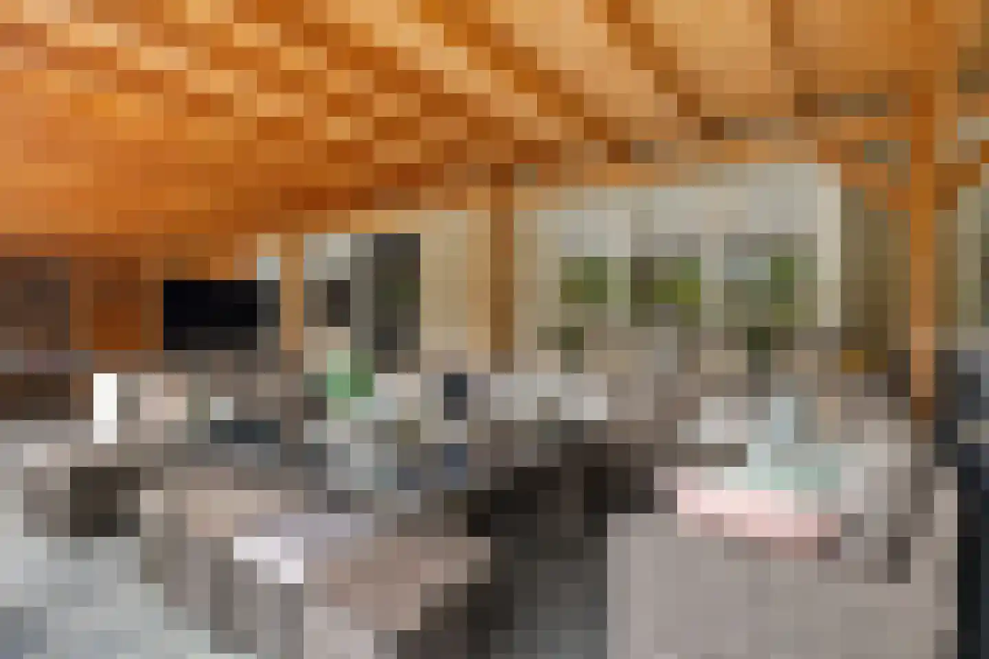 Koraaldreef 44 Emmen thumbnail 26