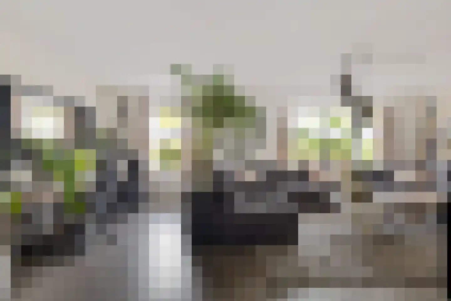 Koraaldreef 44 Emmen thumbnail 5