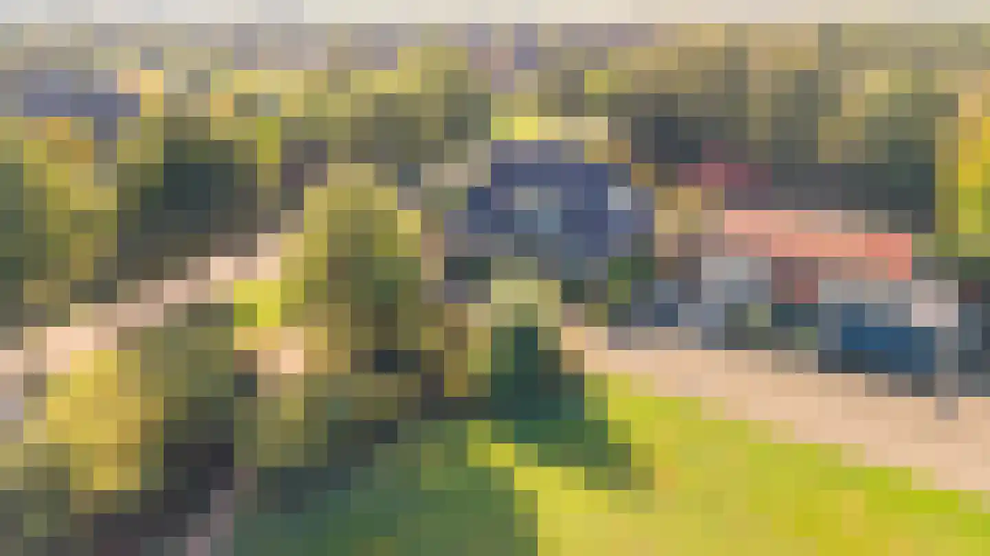 Koraaldreef 50 Emmen thumbnail 47