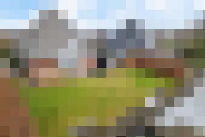 Koraaldreef 8 Emmen
