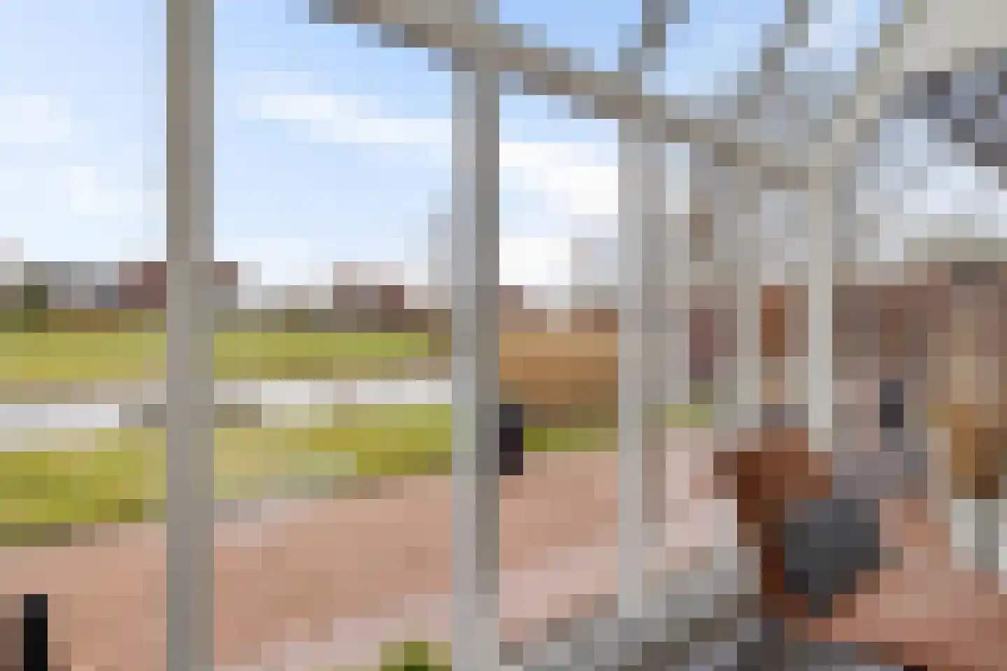 Koraaldreef 8 Emmen thumbnail 14