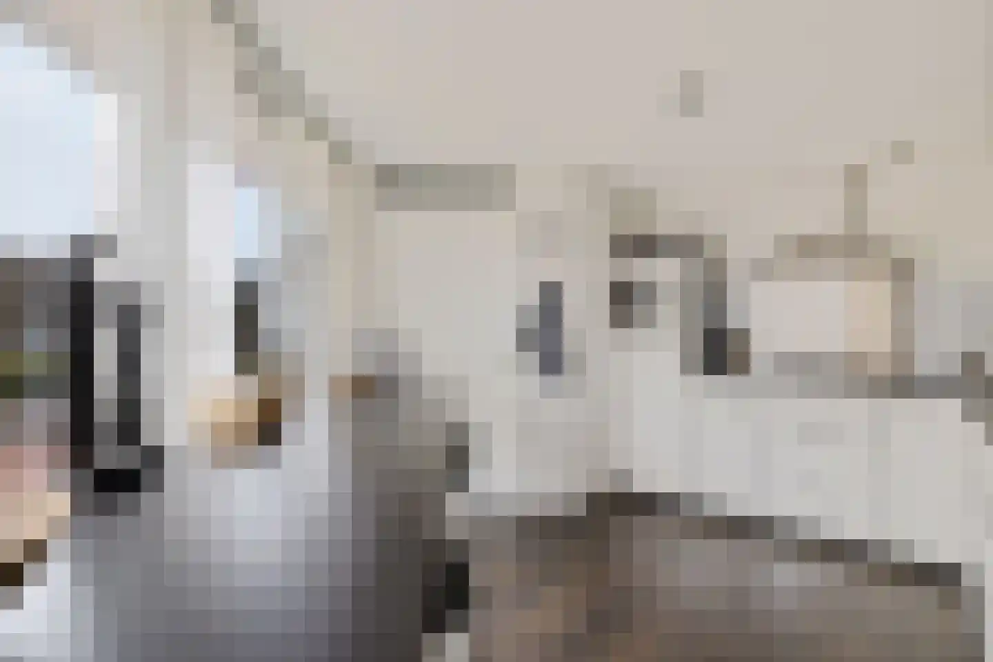 Koraaldreef 8 Emmen thumbnail 20