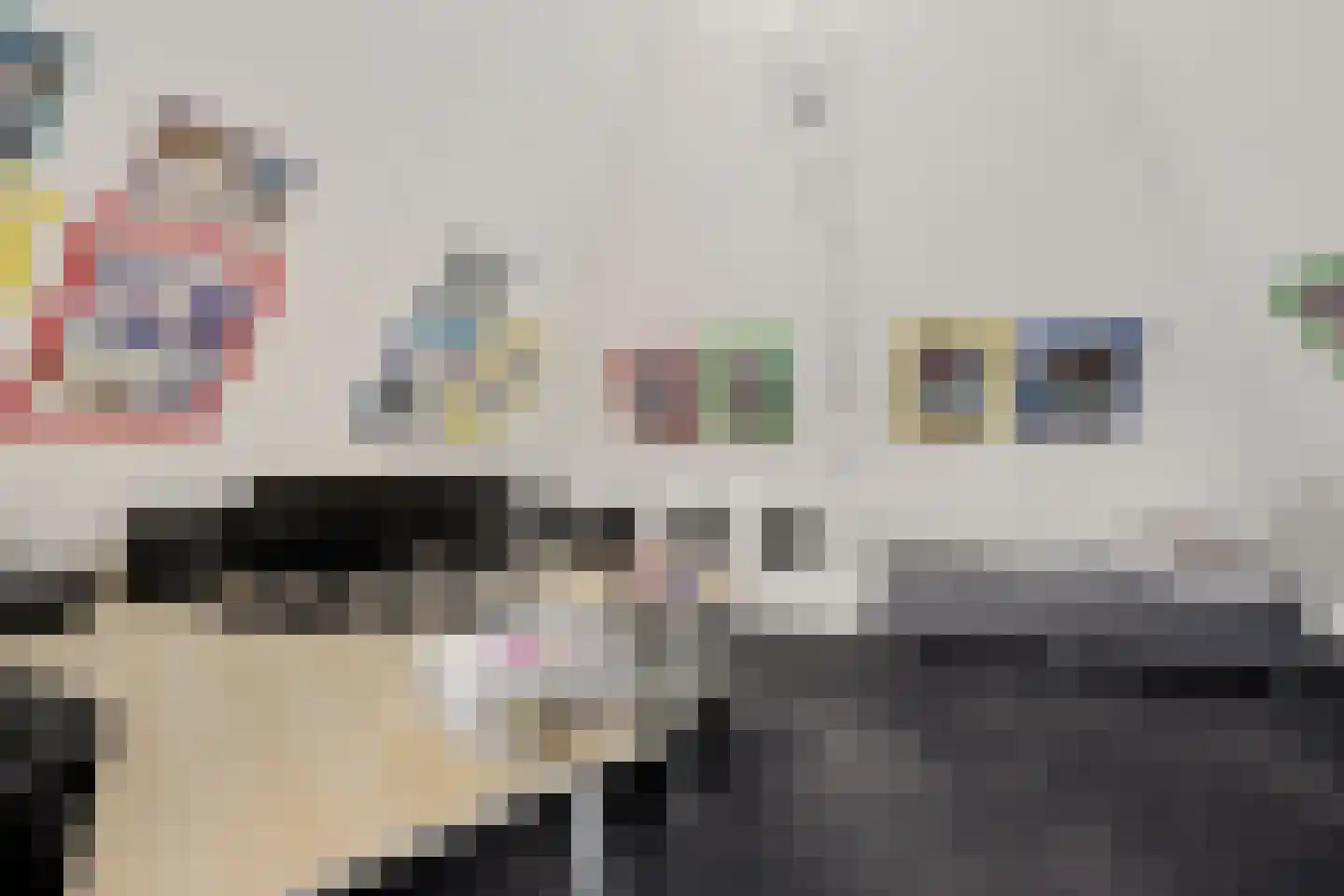 Koraaldreef 8 Emmen thumbnail 38