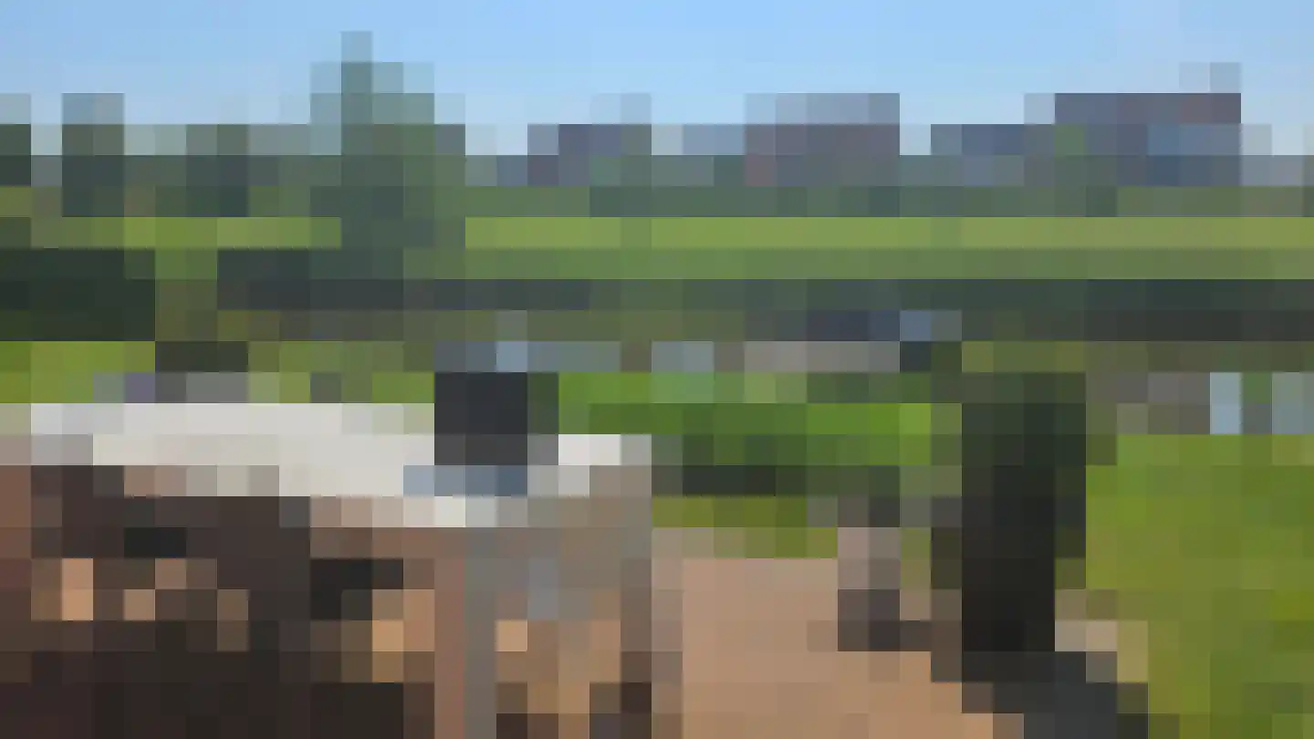 Koraaldreef 8 Emmen thumbnail 4