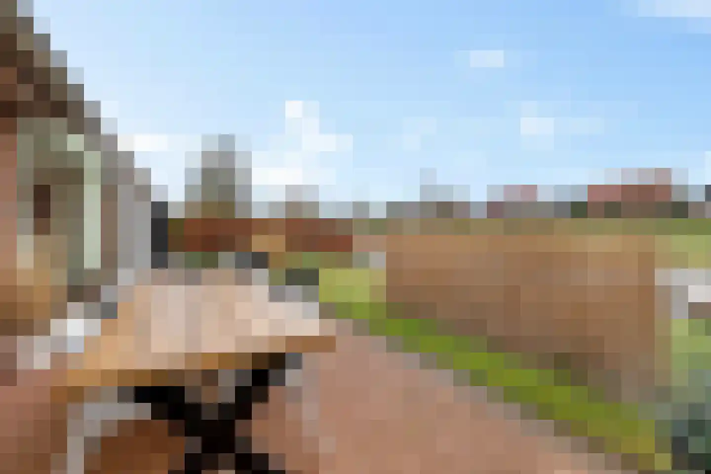 Koraaldreef 8 Emmen thumbnail 41