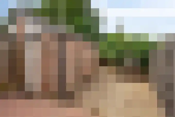 Koraalerf 87 Heerlen thumbnail 19