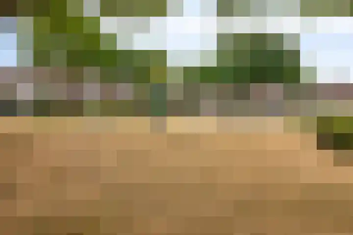 Koraalerf 87 Heerlen thumbnail 21