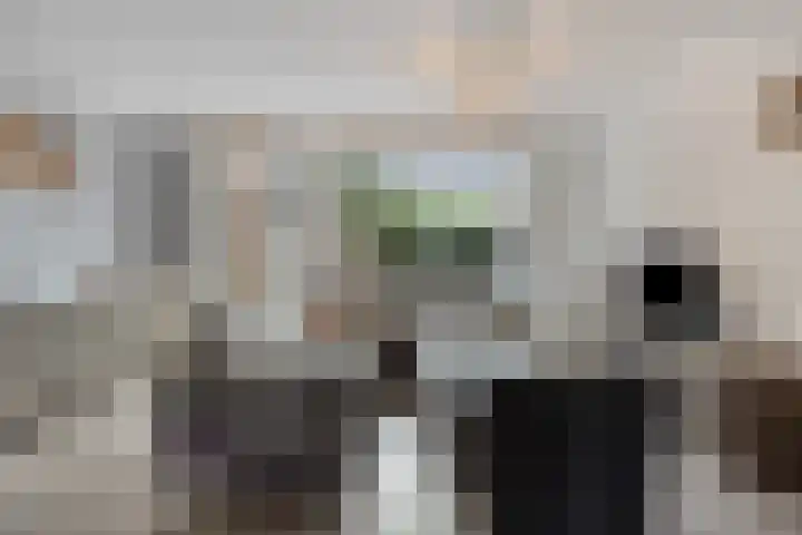 Koraalerf 87 Heerlen thumbnail 5