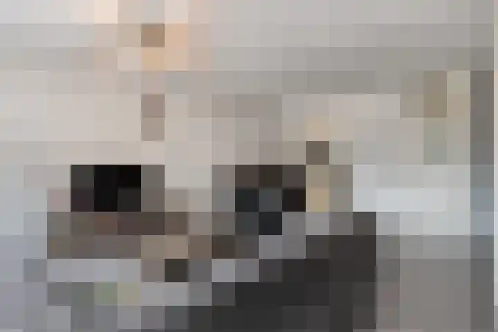 Koraalerf 87 Heerlen thumbnail 6