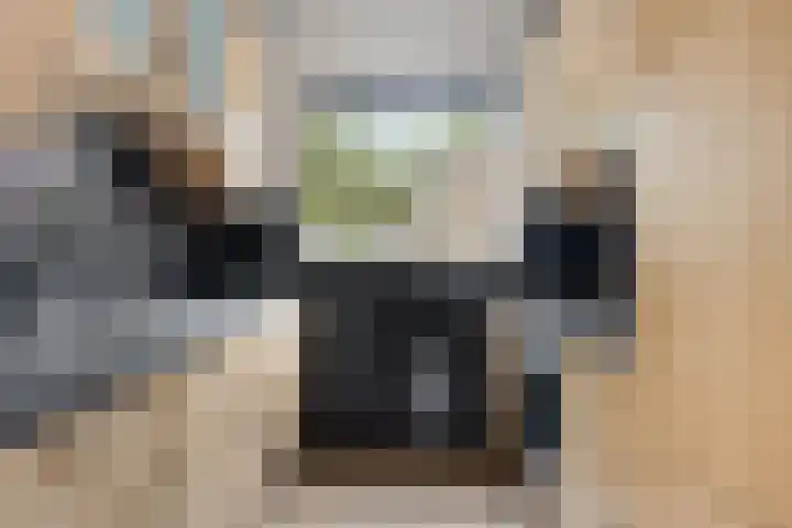 Koraalerf 87 Heerlen thumbnail 8