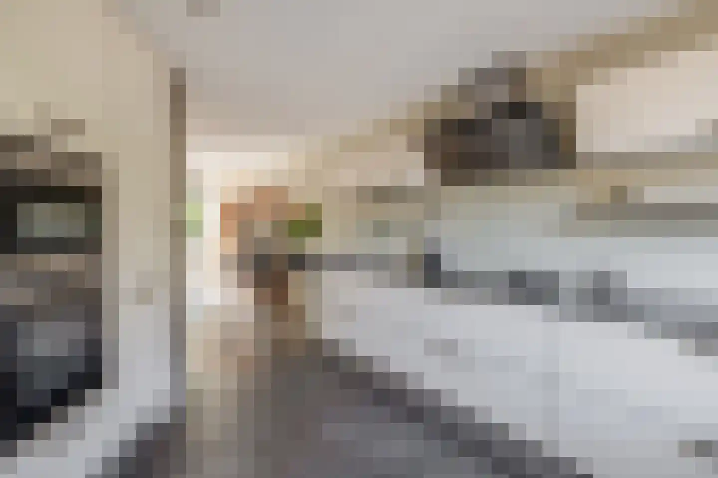 Koraallaan 10 Barendrecht thumbnail 12