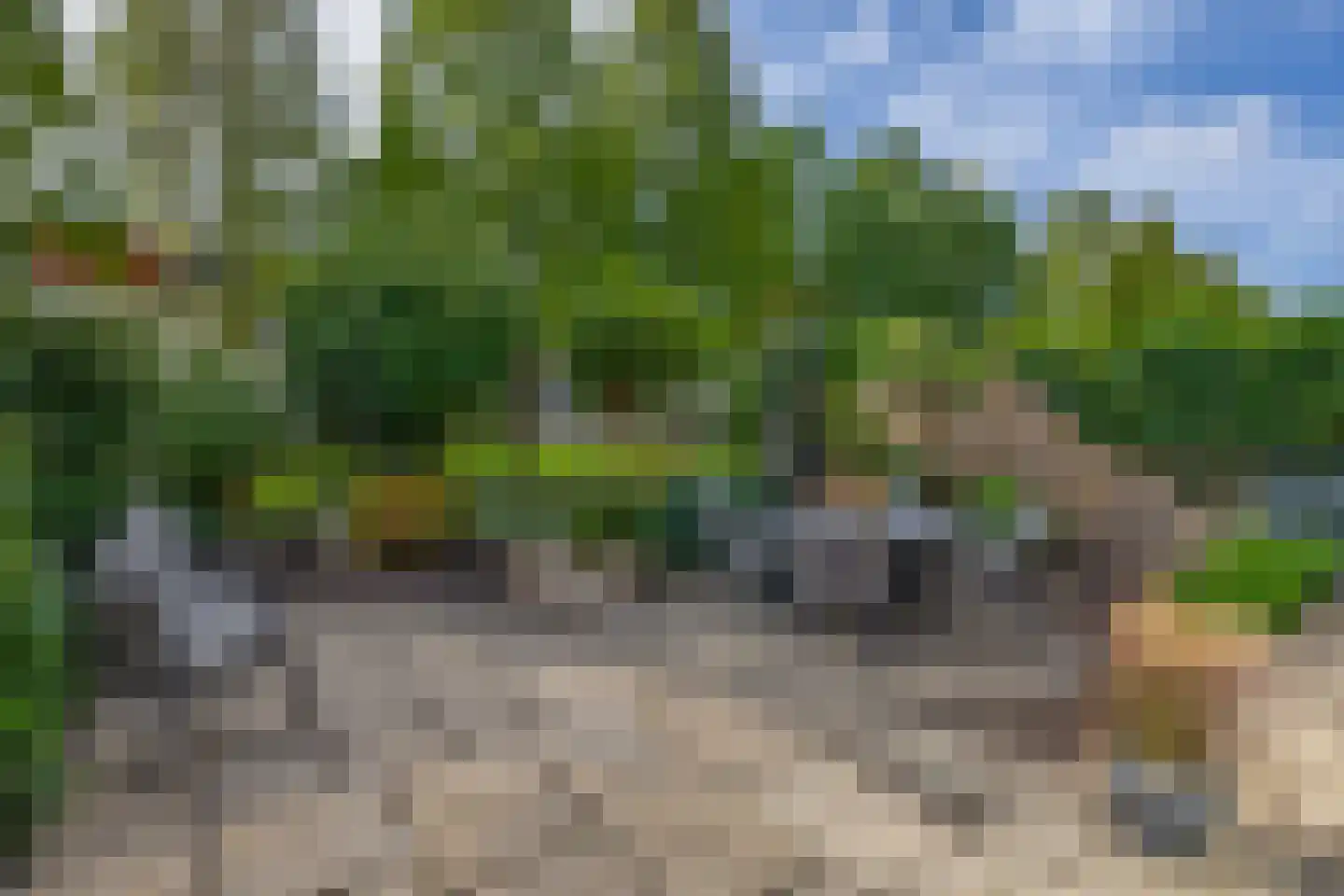 Koraallaan 10 Barendrecht thumbnail 36