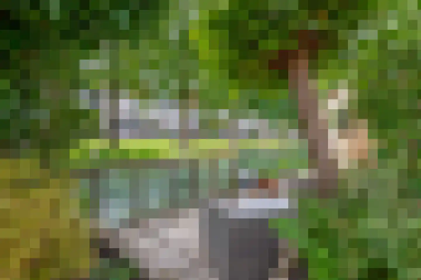 Koraallaan 10 Barendrecht thumbnail 38