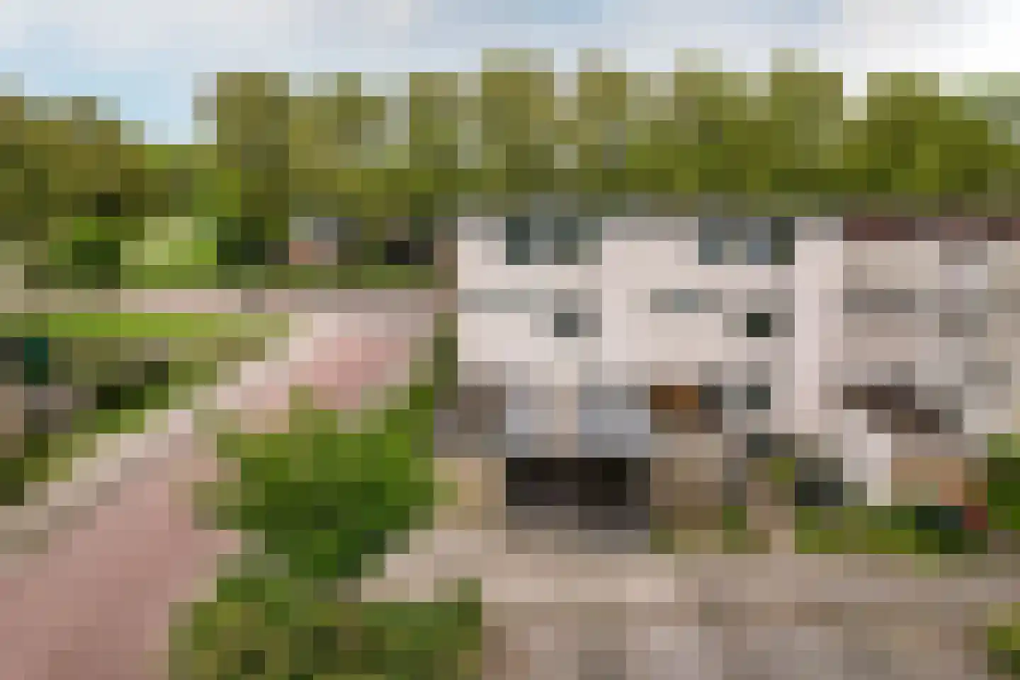 Koraalrif 1 Lelystad thumbnail 40