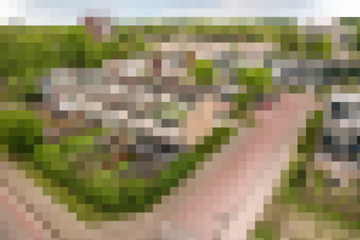 Koraalrif 1 Lelystad thumbnail 42